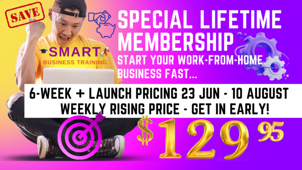 6 + Week Launch Special Sales Banner